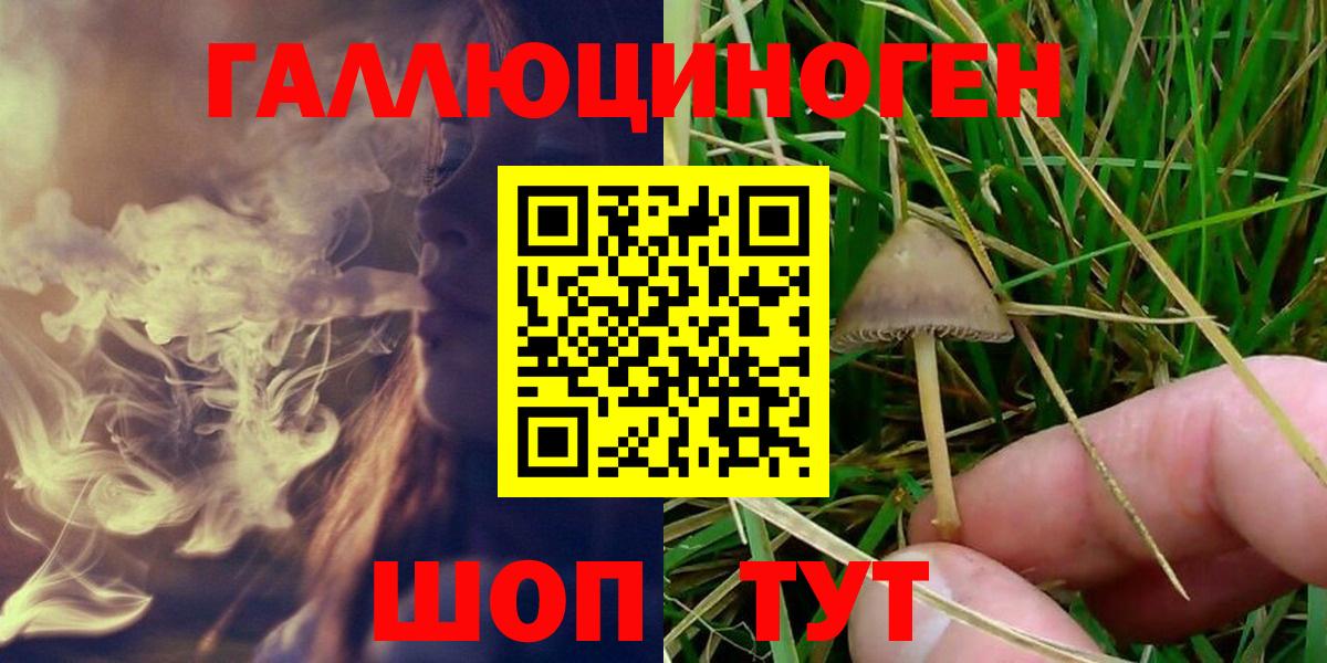 Галлюциногенные грибы Psilocybe  купить наркотики цена  Галлюциногенные грибы ЛСД  Железноводск  Вход с VPN 